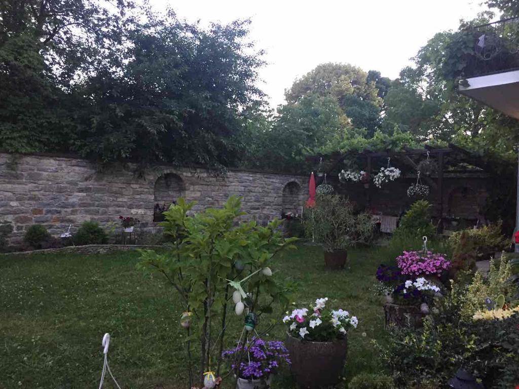 Celebrity Villa Kamyanets-Podilski Dış mekan fotoğraf