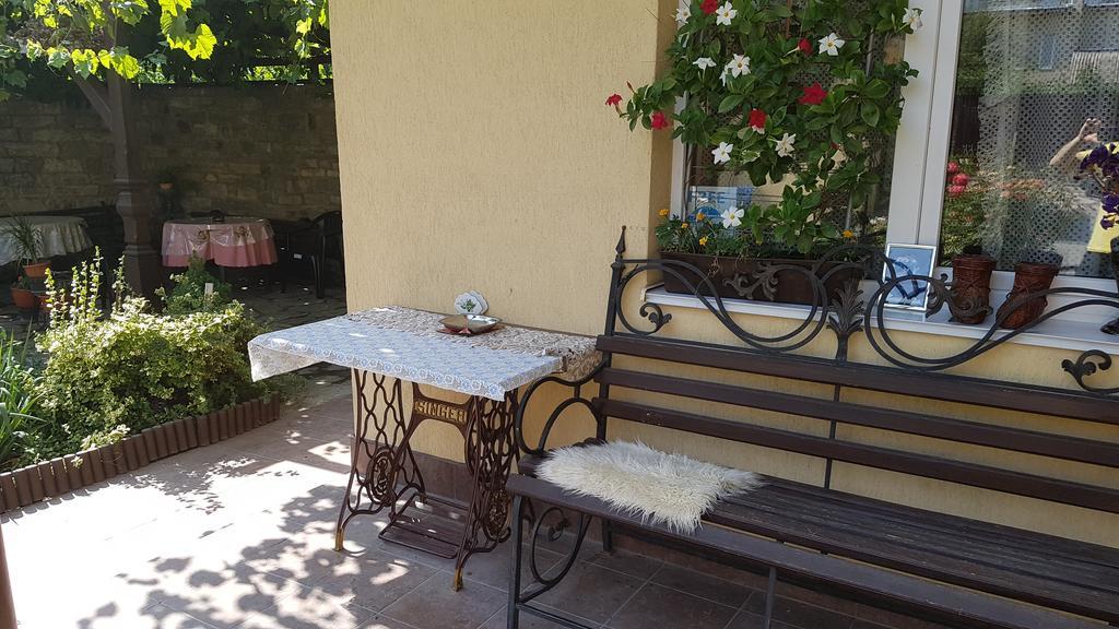 Celebrity Villa Kamyanets-Podilski Dış mekan fotoğraf