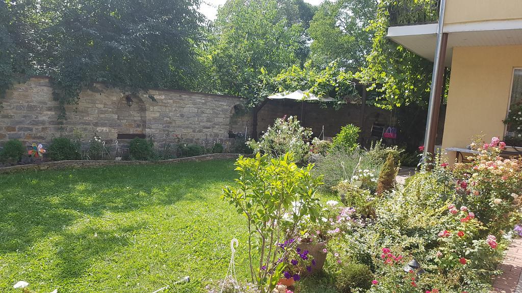 Celebrity Villa Kamyanets-Podilski Dış mekan fotoğraf